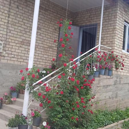Guest House Kyzyl Alma Arkit Εξωτερικό φωτογραφία