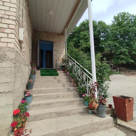 Guest House Kyzyl Alma Arkit Εξωτερικό φωτογραφία